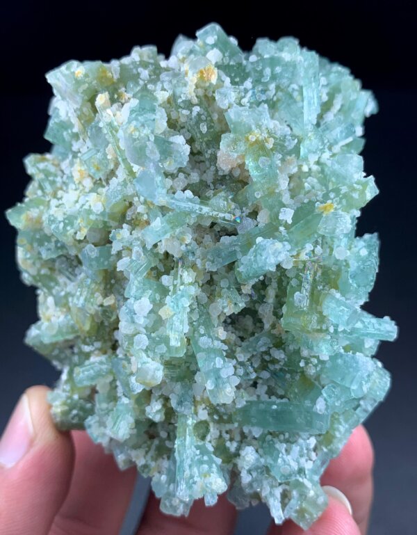 Outstanding Unique Statement Tourmaline Bunch Specimen from Afghanistan – Natural Multi-Colored Crystal Cluster