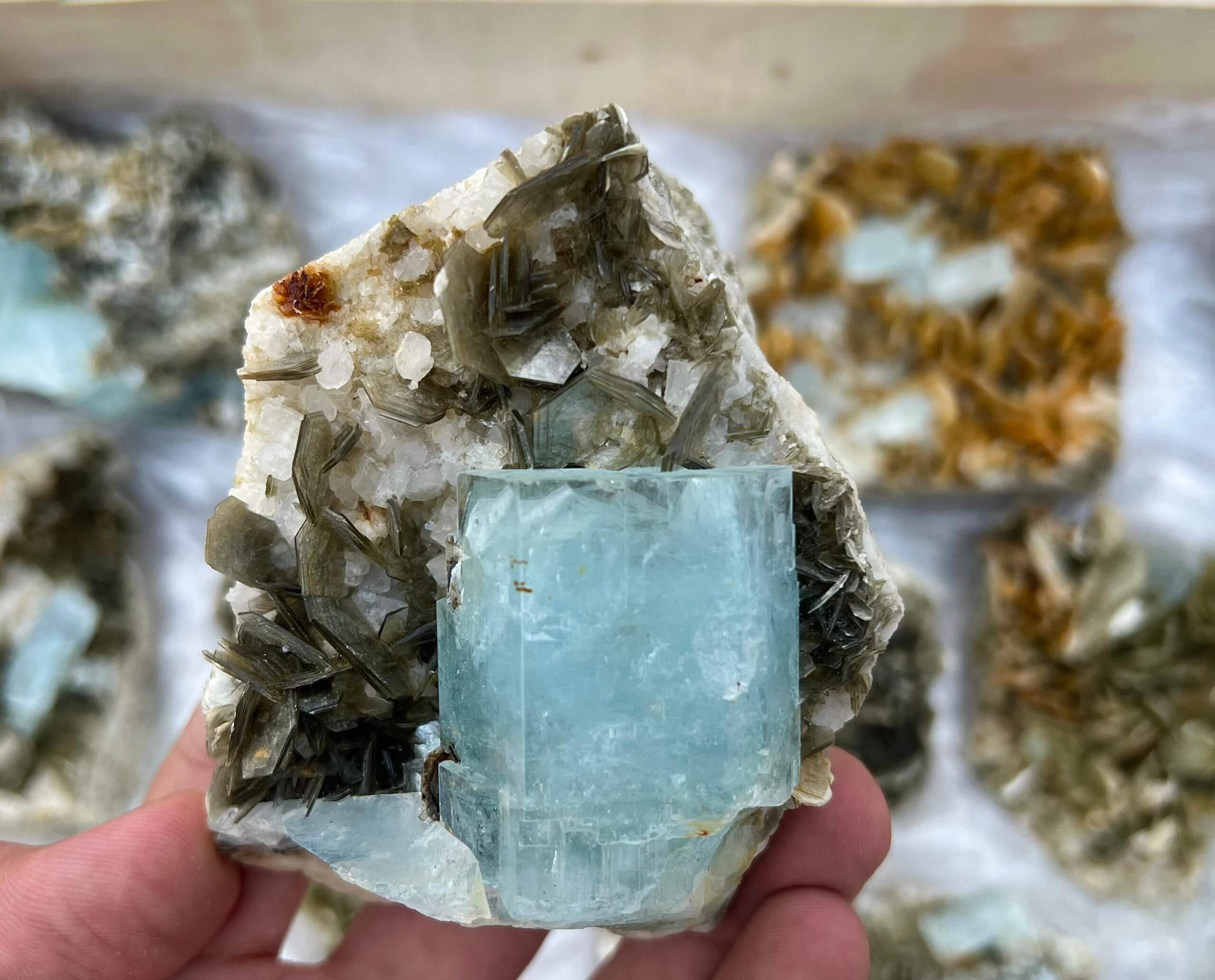 Aquamarine Fine Specimen: A Collector’s Gem of the Ocean
